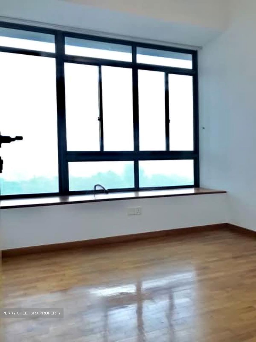 The Citrine (D12), Apartment #539119141